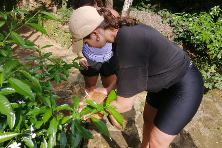 Kandy: Knuckles Mountain Range Full-Day Hike with Lunch