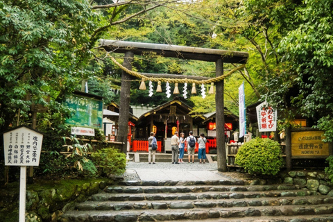 Ukyo: Arashiyama Bamboo Forest, Tenryu-ji, Monkey Park Tour