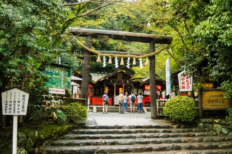 Ukyo: Arashiyama Bamboo Forest, Tenryu-ji, Monkey Park Tour