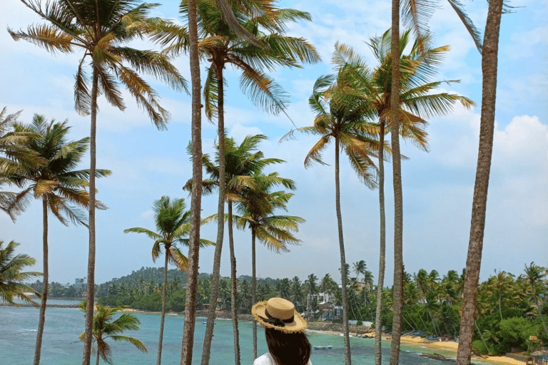 Colombo: Mirissa Day Trip with Scenic Coastal Train Ride Colombo: Mirissa Day Trip with Scenic Coastal Train Ride