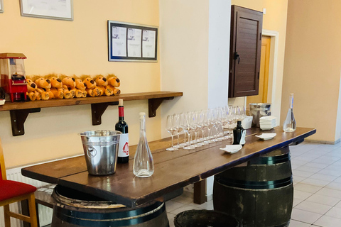 From Paphos: Troodos 4x4 Safari with Picnic & Winery visit