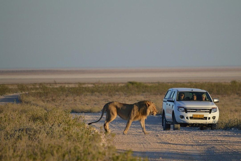 Smaak van Namibië Avonturentour