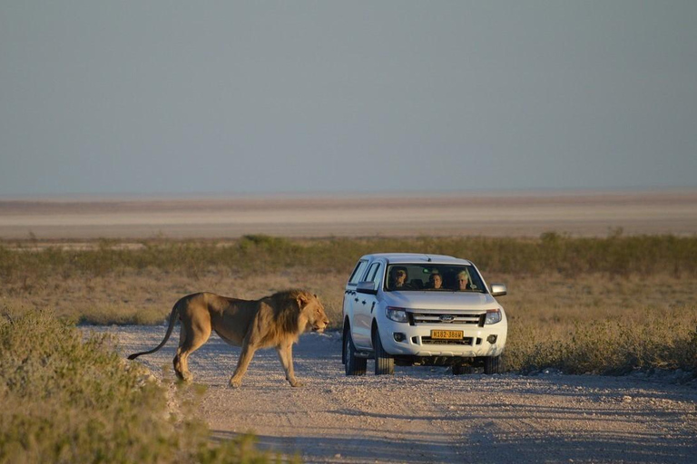 Tour de aventura &quot;Taste of Namibia