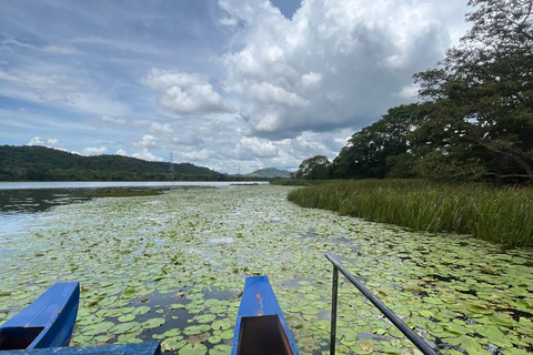 Kandy: Sigiriya Rock & Dambulla Cave Temple adventure tour