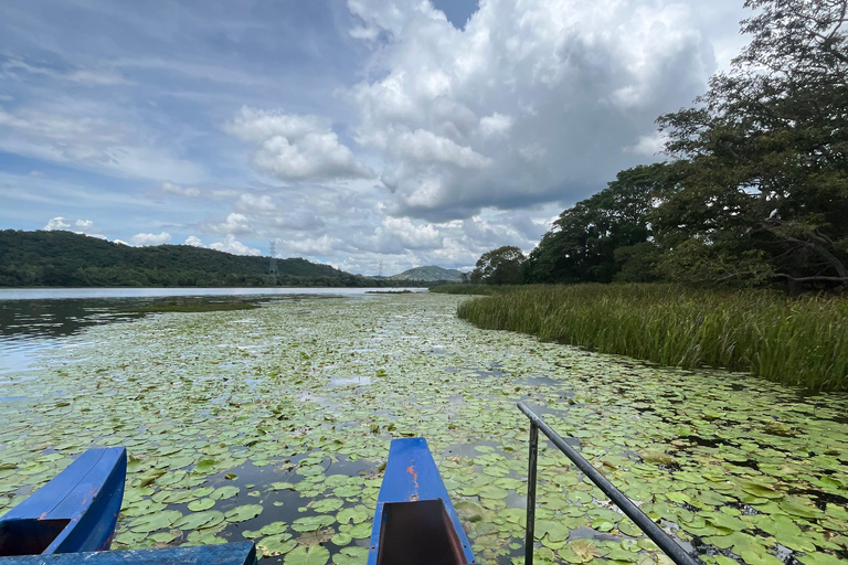 Kandy: Sigiriya Rock & Dambulla Cave Temple adventure tour