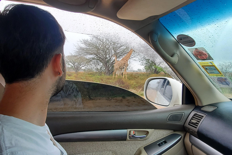 From Maputo: Maputo National Park Guided 4x4 Safari