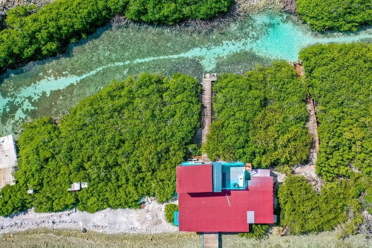 Aruba: Snorkeling and Beach Boat Tour with Lunch and Openbar