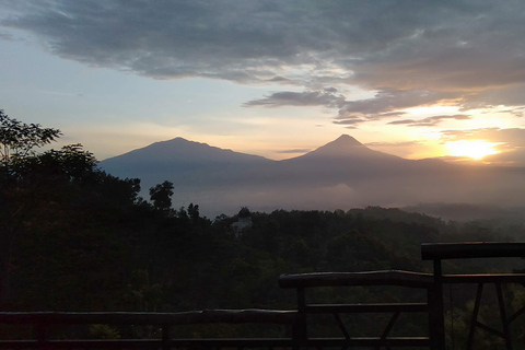 Tour all'alba a Yogyakarta: salita garantita a BorobudurTour all'alba a Yogyakarta: salita alle colline di Borobudur e Prambanan
