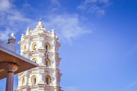 Explora el sur de Goa con un tour turístico de un día completo guiado en coche