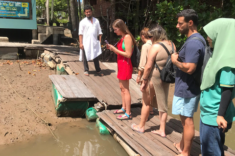 Ko Lanta : Visite d'une demi-journée en kayak dans la mangrove avec déjeuner