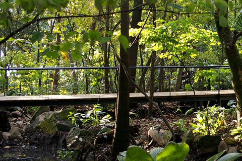 Medellín natural: jardim botânico, parque Arví, monte El volador e almoço.