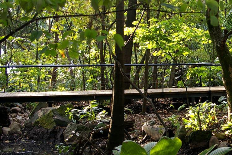 Medellín natural: jardim botânico, parque Arví, monte El volador e almoço.