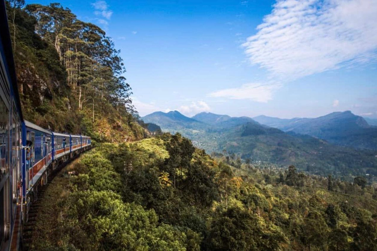 Kandy to Nanu Oya Drop: Tea Tour with Ella Train Tickets Kandy to Nanu Oya Drop: with Ella Train Tickets by Car