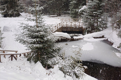 博罗韦茨徒步和雪橇之旅，参观比斯特里察皇家宫殿博罗维茨徒步和雪橇之旅，参观比斯特里察皇家宫殿