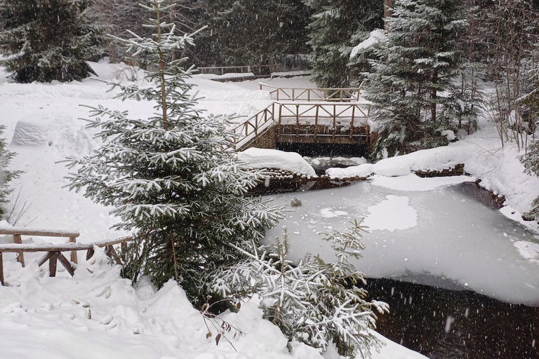 博罗韦茨徒步和雪橇之旅，参观比斯特里察皇家宫殿博罗维茨徒步和雪橇之旅，参观比斯特里察皇家宫殿
