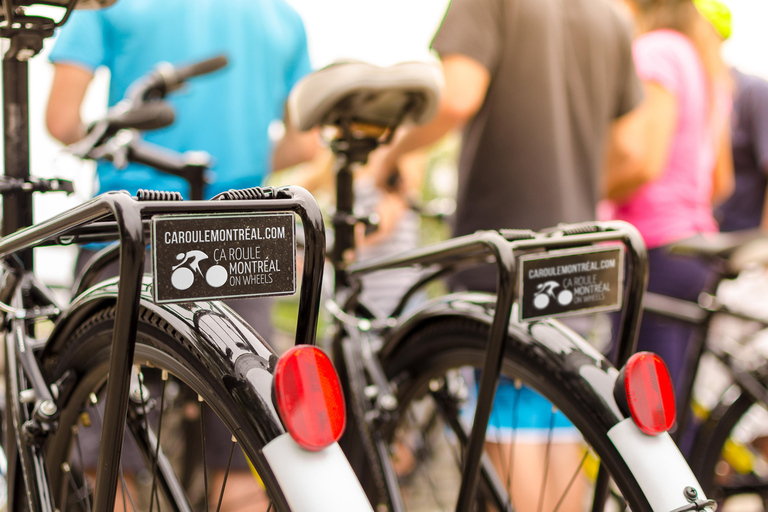 Montreal Full Day Ebike rental Old Montreal- Lachine Canal