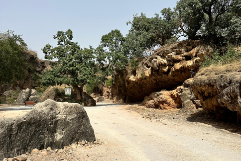 Excursão particular de 1 dia para Salalah - Principais atrações