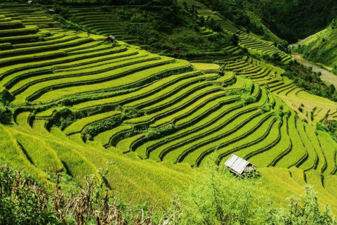 Hanoi: Sapa 3-Tage Tour Cat Cat Village, Fansipan und Moana