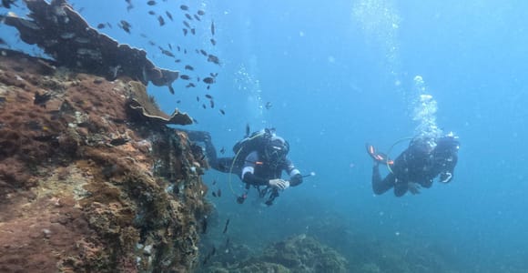 Phu Quoc: Scuba Diving Tour, one day in ocean Phu Quoc