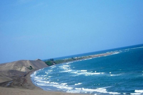 SANDBOARDING IN CHACHALACAS DUNES