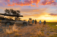 Hwange Day and Overnight Safari - Housity