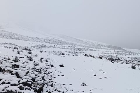 From Quito: FullDay Chimborazo Volcano Snow Tour
