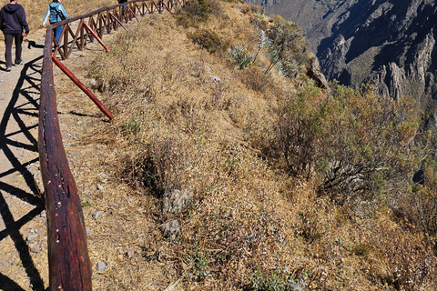 From Puno: Colca Canyon Expedition, Ending in Arequipa