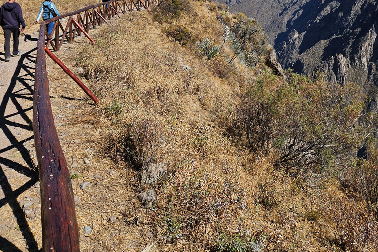 From Puno: Colca Canyon Expedition, Ending in Arequipa
