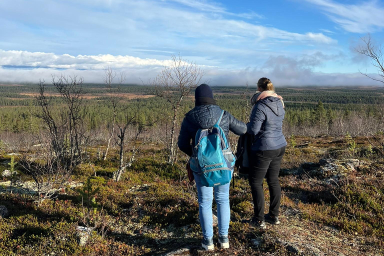 Levi: Excursión otoñal y visita a la granja de renosExcursión otoñal y visita a la granja de renos