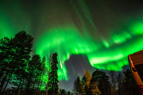 Rovaniemi: Northern Lights Tour – Guaranteed with Photos Small-Group Northern Lights Tour – Guaranteed with Photos