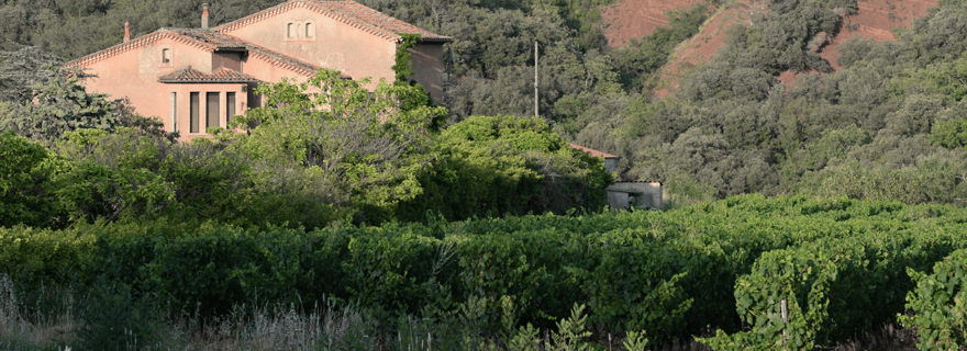 Mas Caoudou, Lodève : Visite du vignoble avec dégustation de vin