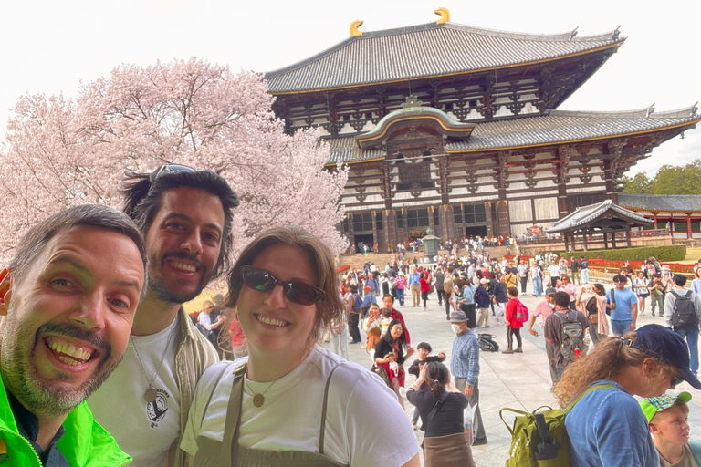 Private sightseeing tour of Nara in Spanish with pick-up from your hotel in Osaka or Kyoto 6-Hour Private Tour in Spanish