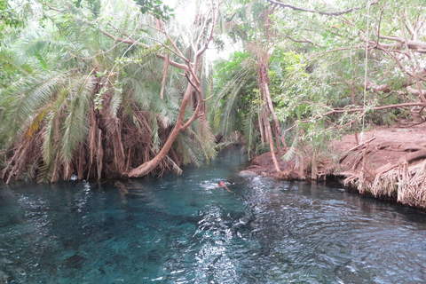 Arusha: Materuni Waterfalls and Chemka Hot Springs