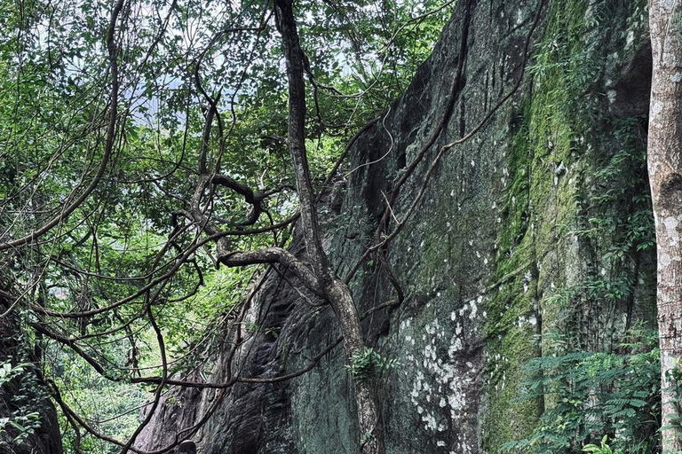 From Colombo: Gampaha District Temples & Jungle Hike Tour