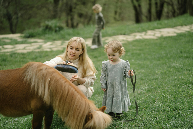 Vilnius: Guided Pony Ride for Young Children