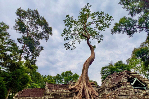3-Day Cambodia Trip: Temples, Sihanoukville& Koh Rong Island