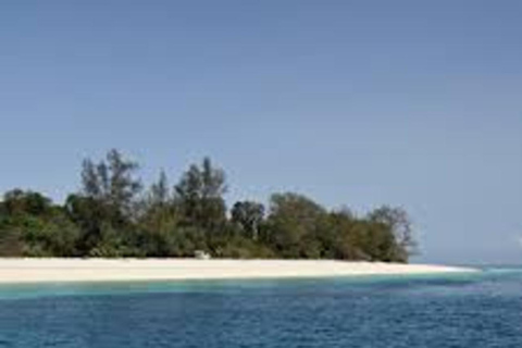 Zanzibar: tour a piedi nella foresta di Masingini e avventura con la zip line