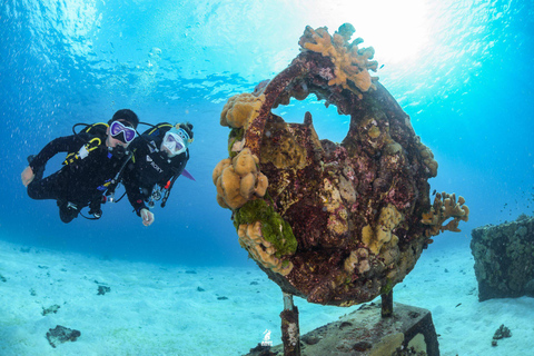 Z Khao Lak: Wycieczka nurkowa na Wyspy Similan