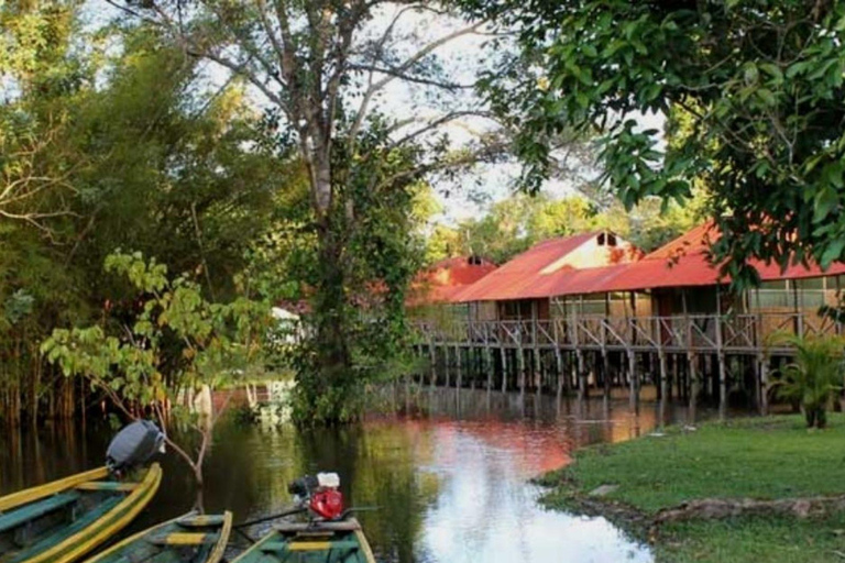 Depuis Iquitos : Visite de l&#039;Amazone, des fleuves Nanay et MomónDepuis Iquitos : Visite de l&#039;Amazone, des rivières Nanay et Momón