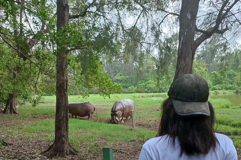 Ciudad de Mombasa: Excursión a tierra con degustación de comida callejera.