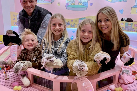 Harajuku Kawaii Tour Harajuku Kawaii Tour for one person