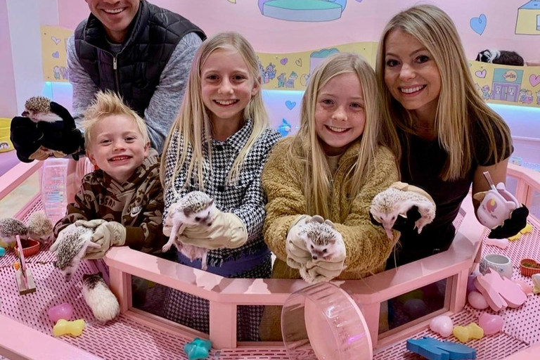 Harajuku Kawaii Tour Harajuku Kawaii Tour for one person