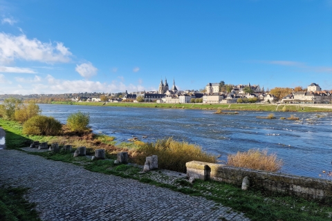 Privétour van Parijs naar kastelen in de Loire en lunch met Michelin