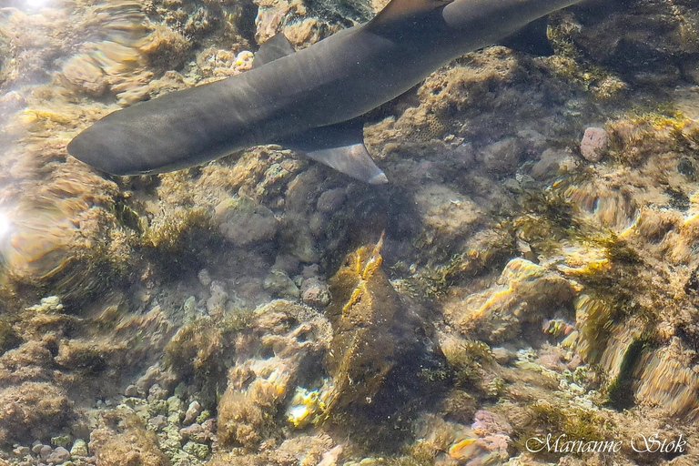 Boa Vista: Snorkeling w zatoce Gatas i wycieczka na północny wschód