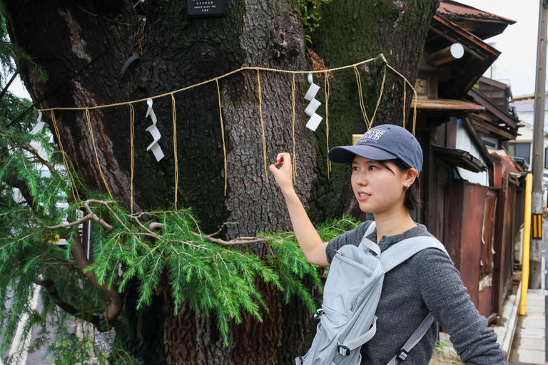 Tokyo: Old Tokyo Walk with Yanaka Retro Street & Nezu Shrine