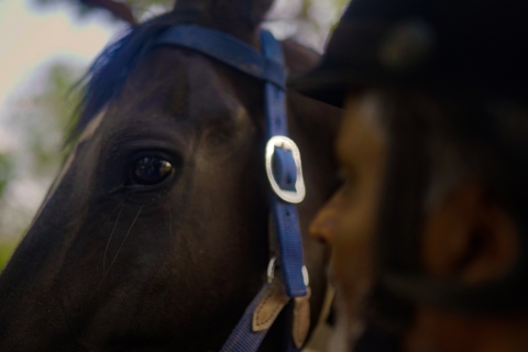 Doświadczenie jeździeckie Strode Marwari: stadnina koni + jazda konna