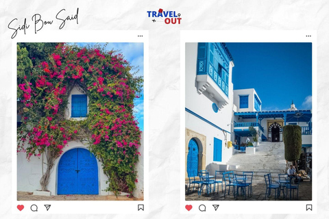 Hammamet: Private Carthage & Sidi Bou Saïd Tour Group of 5 to 14 people (best price per person)