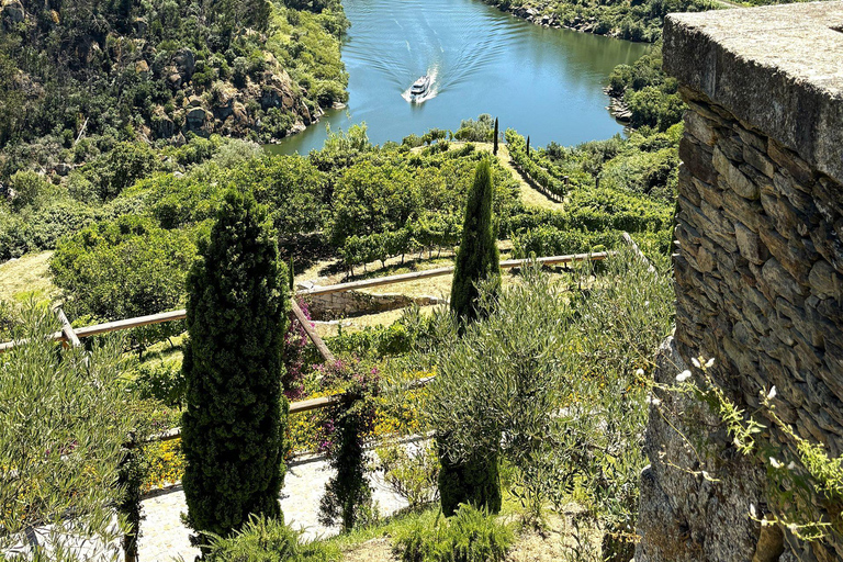 From Porto: Douro Valley Private Tour w/ 3 Wineries & Lunch Douro Valley Authentic Tour w/ 3 wineries & lunch in French