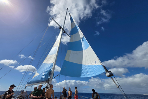 Oahu : aventure de plongée avec tuba dans le Turtle Canyon avec équipementOahu : Aventure de plongée avec tuba dans le Turtle Canyon, équipement fourni