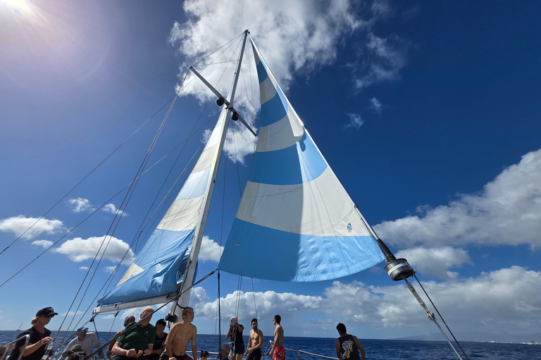 Oahu : aventure de plongée avec tuba dans le Turtle Canyon avec équipementOahu : Aventure de plongée avec tuba dans le Turtle Canyon, équipement fourni